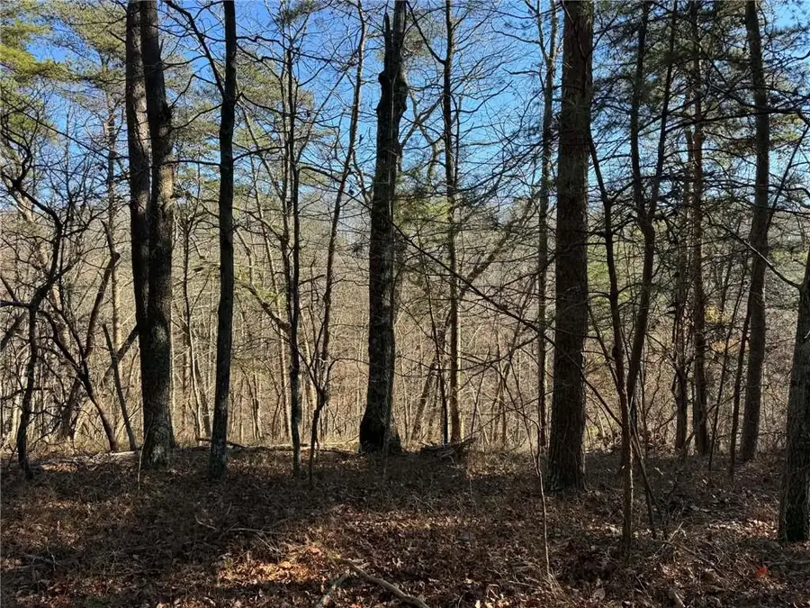 1493 Derby Court Ne, Ranger, GA 30734 - #3