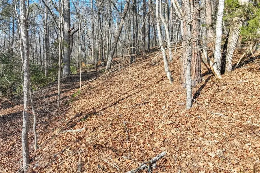 9384 Skitts Mountain, Lula, GA 30554 - #3