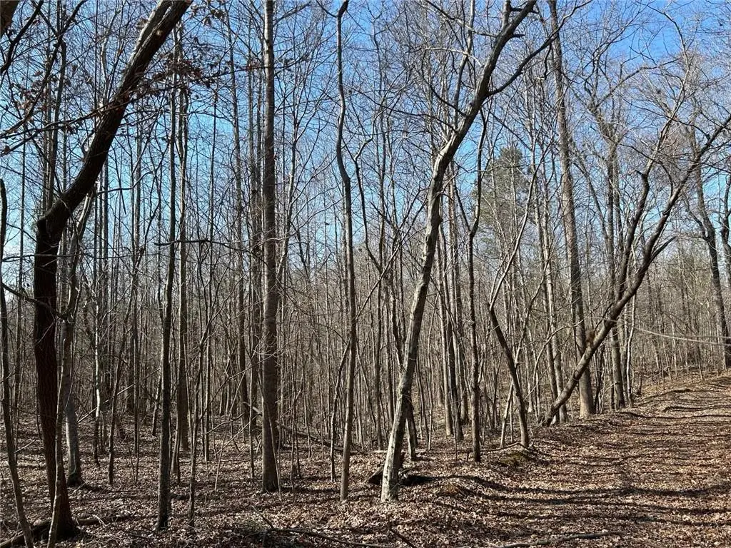 0 Mcdonald Circle, Commerce, GA 30529 - #1