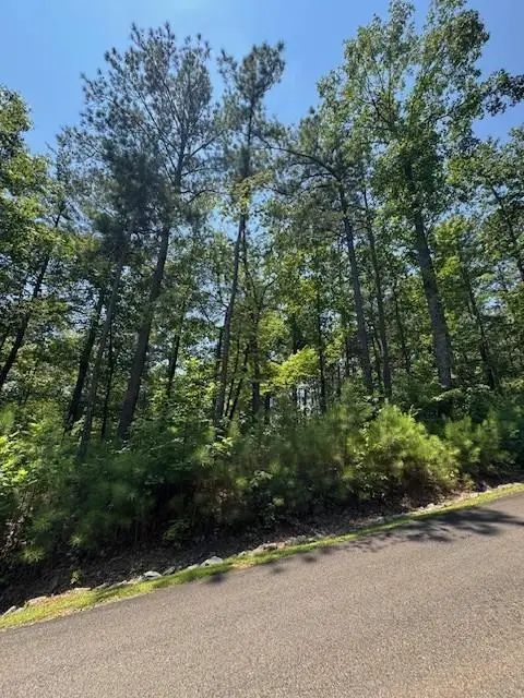 0 Carters View, Ellijay, GA 30540 - #1