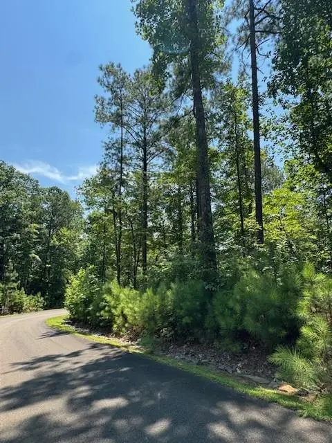 0 Carters View, Ellijay, GA 30540 - #3