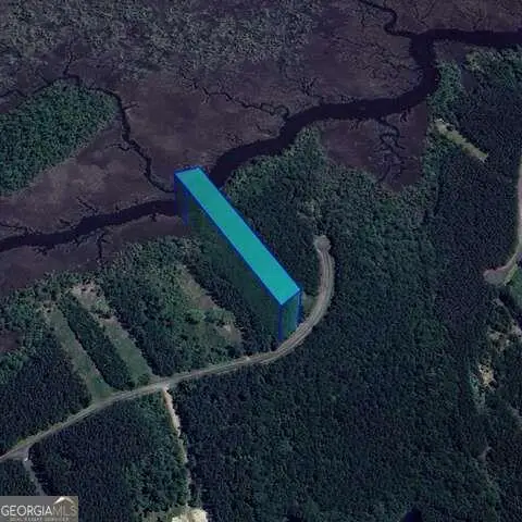 0 La Sole Lane, Waverly, GA 31565 - Image #1