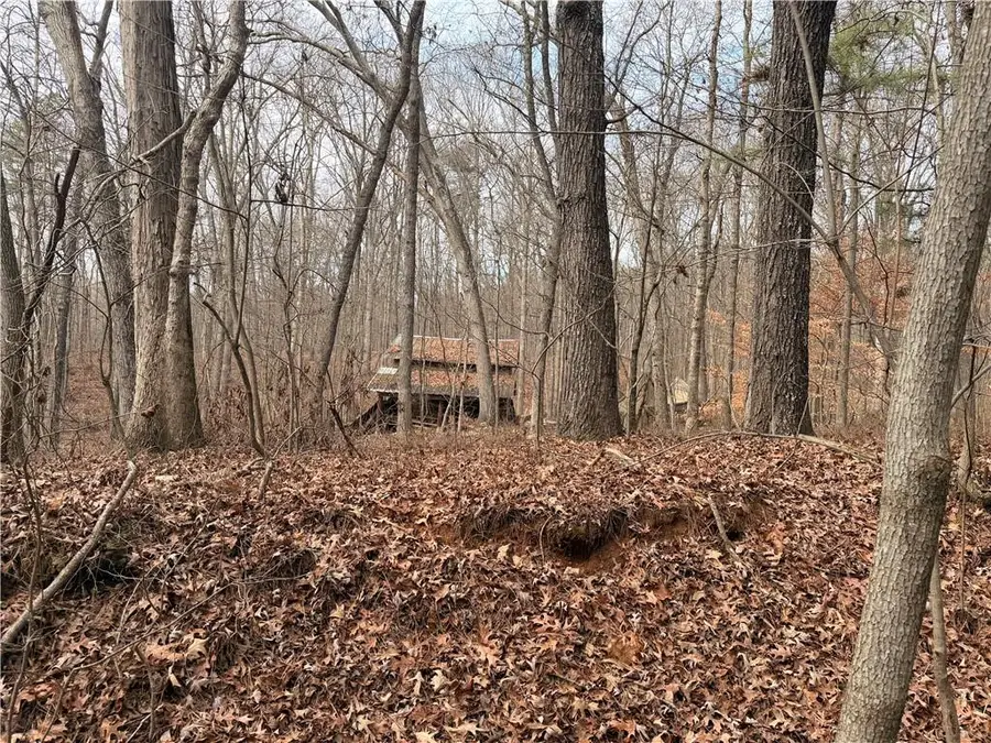 1830 Highway 27 N N, Bremen, GA 30110 - #2