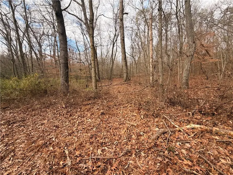 1830 Highway 27 N N, Bremen, GA 30110 - #3