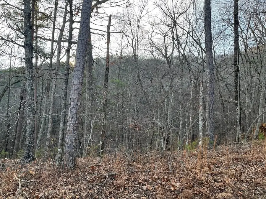 205 Sharp Top Mountain Trail, Jasper, GA 30143 - Image #2