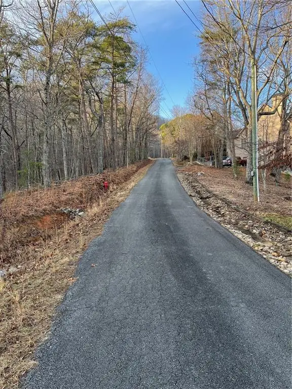 205 Sharp Top Mountain Trail, Jasper, GA 30143 - Image #3