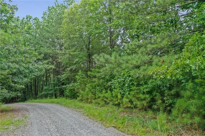 Lot39 Lakeside Trail, Ellijay, GA 30540 - #3