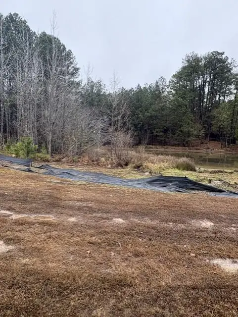 4272 Giverney Boulevard, Fairburn, GA 30213 - Image #3