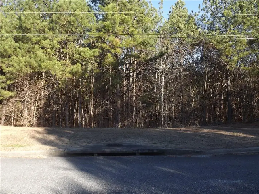 Lot 4 Skyview Street, Cedartown, GA 30125 - #3