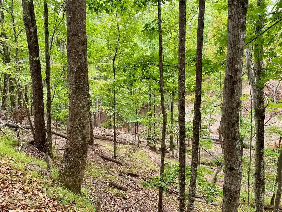 327 Grouse Gap Drive, Jasper, GA 30143 - Image #2