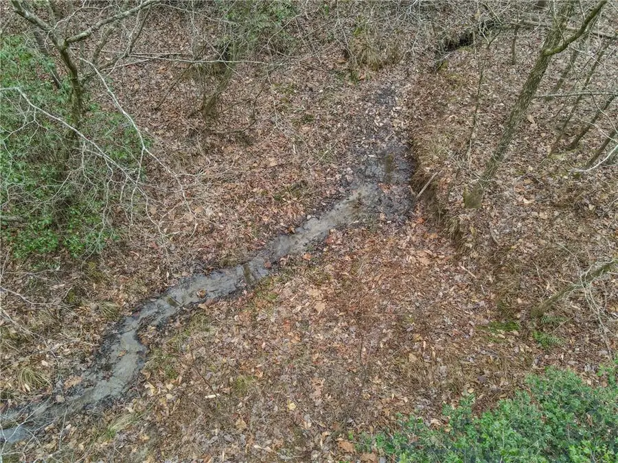 0 Bryant Creek Rd Road, Ellijay, GA 30540 - #2