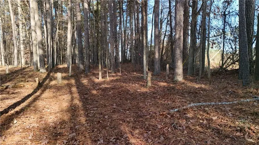 5158 SE Groovers Landing Road Se, Acworth, GA 30102 - Image #2