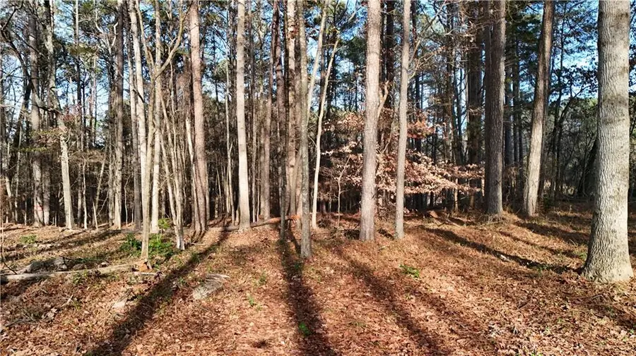 5158 SE Groovers Landing Road Se, Acworth, GA 30102 - Image #3