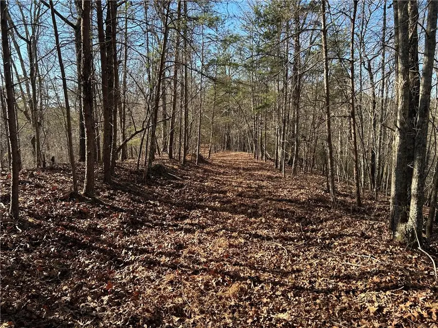 00 Twin River Orchard Road, Demorest, GA 30535 - Image #2