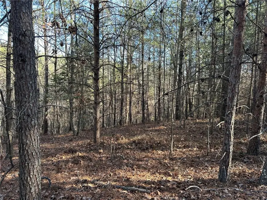 00000 Twin River Orchard Road, Demorest, GA 30535 - Image #3