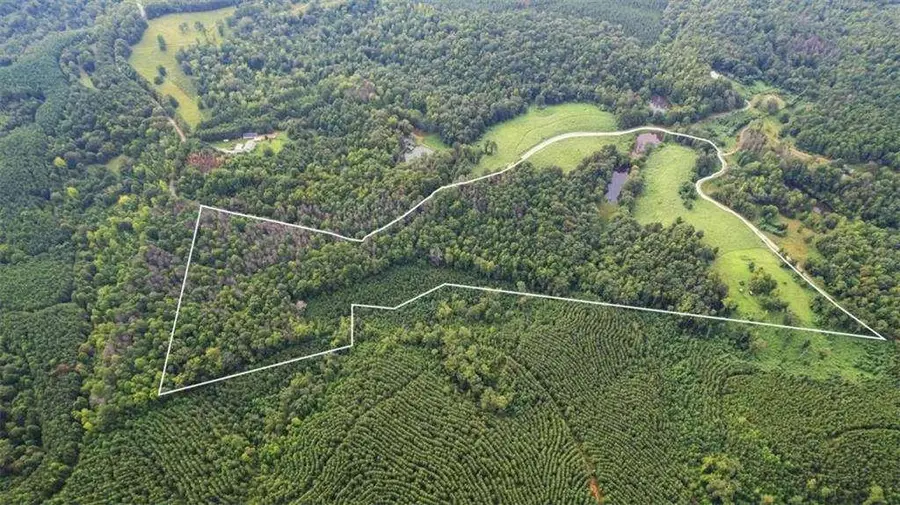 0 Treat Mountain Road, Cedartown, GA 30125 - Image #3