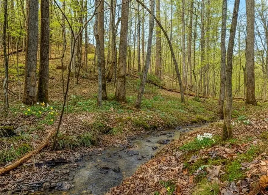 6.44 Whispering Oaks Drive, Ellijay, GA 30540 - #3