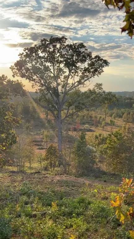 1590 Buttermilk Road Sw, Cave Spring, GA 30124