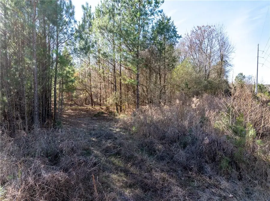 2071 Leslie Mill Road, Greensboro, GA 30642 - #3