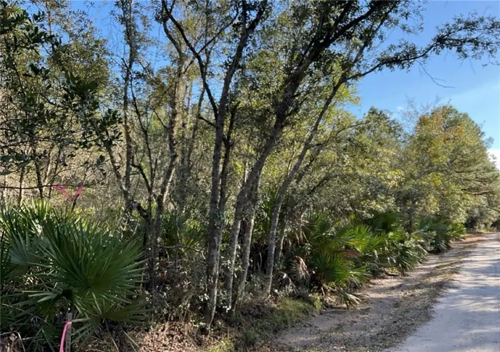 0 Deerwood Creek Estates Road, Waverly, GA 31565 - Image #1