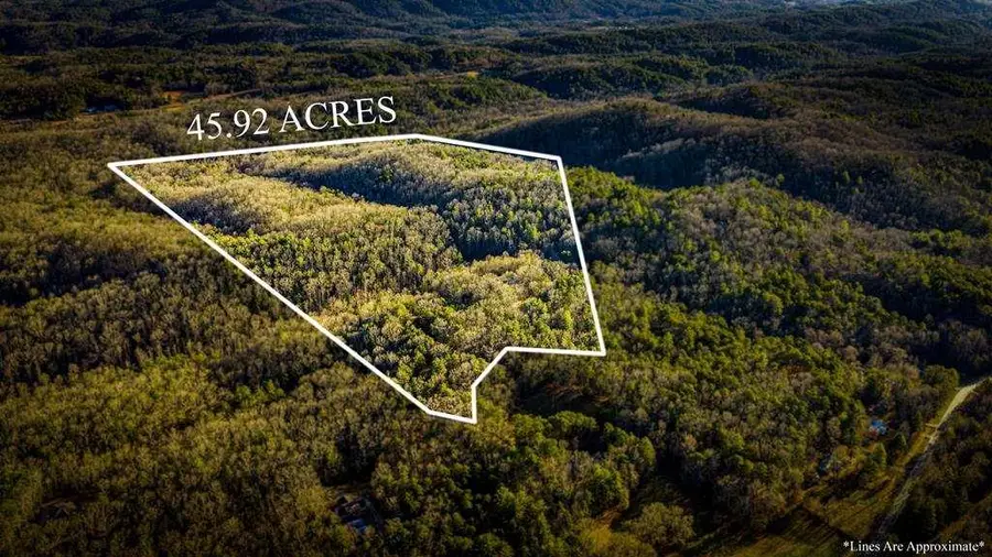 178 Arp Road, Mineral Bluff, GA 30559 - #2