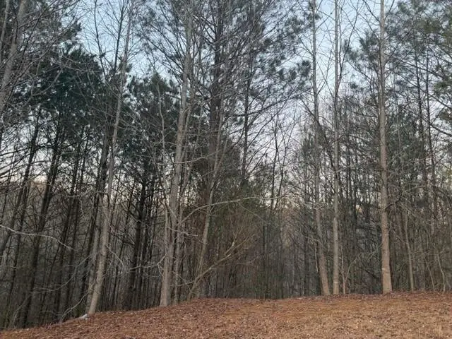 4120 Plaza Drive, Alpharetta, GA 30004 - #3