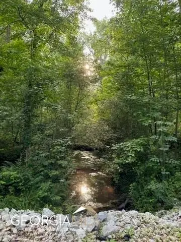 2535b Willow Lane, Social Circle, GA 30025 - Image #1