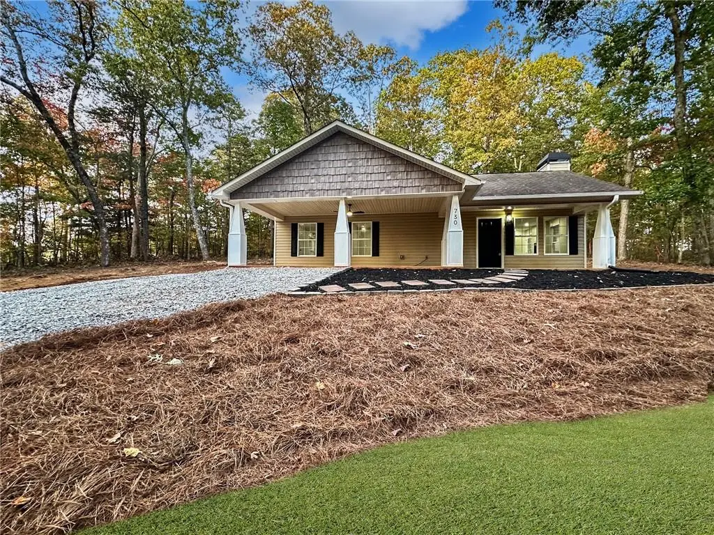 730 Carrie Cove Lane, Clarkesville, GA 30523 - #1