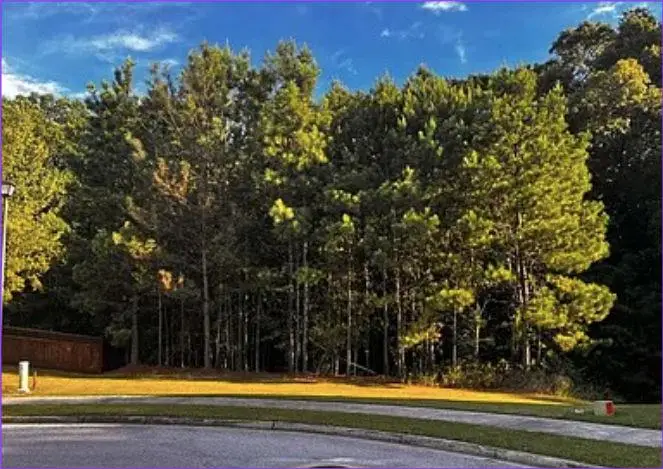 1745 Indian Wood, Lithonia, GA 30058 - #2