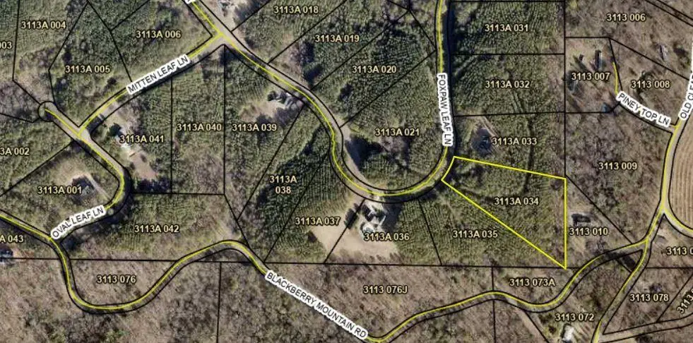 0 Fox Paw Leaf (lot 34) Lane, Ellijay, GA 30540 - #1