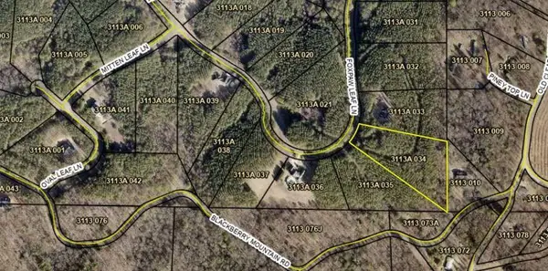 0 Fox Paw Leaf (lot 34) Lane, Ellijay, GA 30540