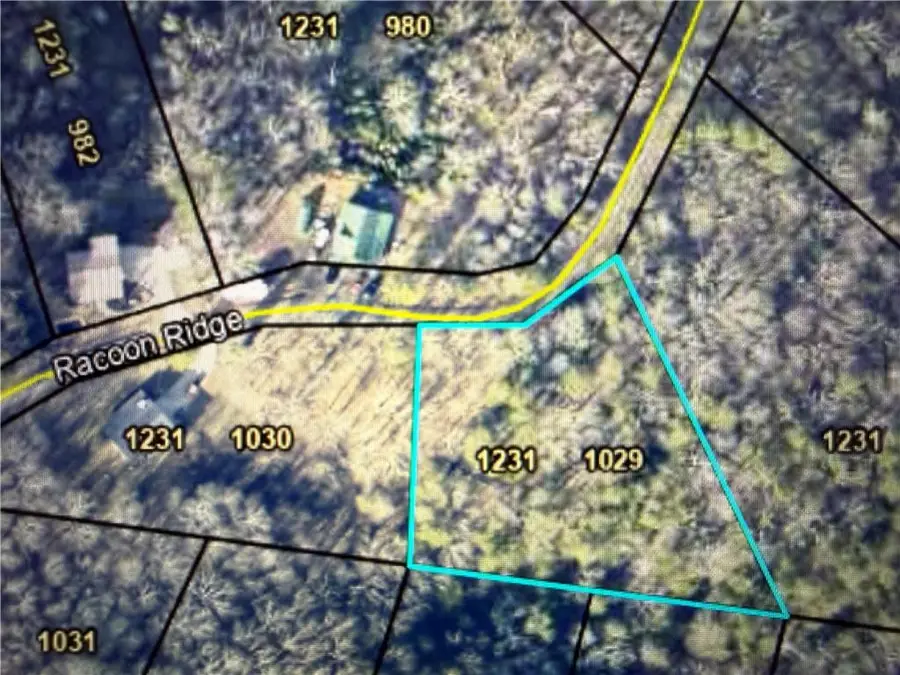 1029 Raccoon Ridge Ne, Ranger, GA 30734 - Image #2