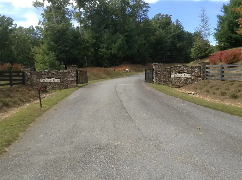 Lot 9 Robert Drive, Ellijay, GA 30536 - #1