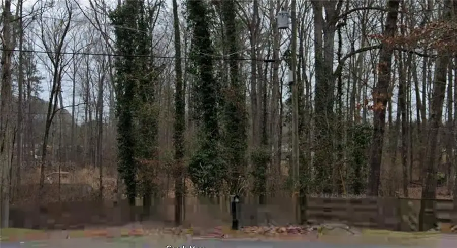 5345 Double Branches Drive, Cumming, GA 30040 - Image #2