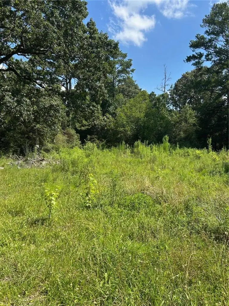 2370 Ebenezer Road, Conyers, GA 30094 - #1
