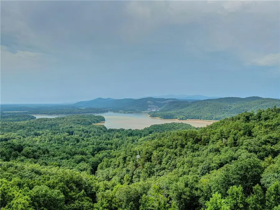 965 Raccoon Ridge Ne, Ranger, GA 30734 - #2