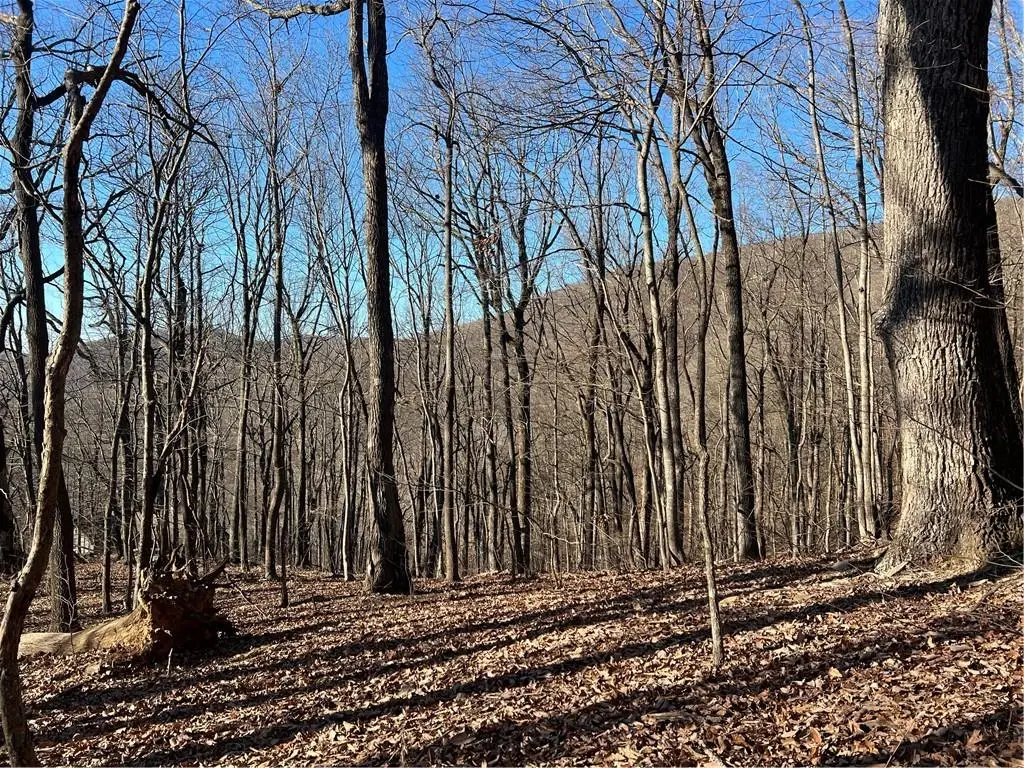 0 Sassafras Court, Jasper, GA 30143 - #1