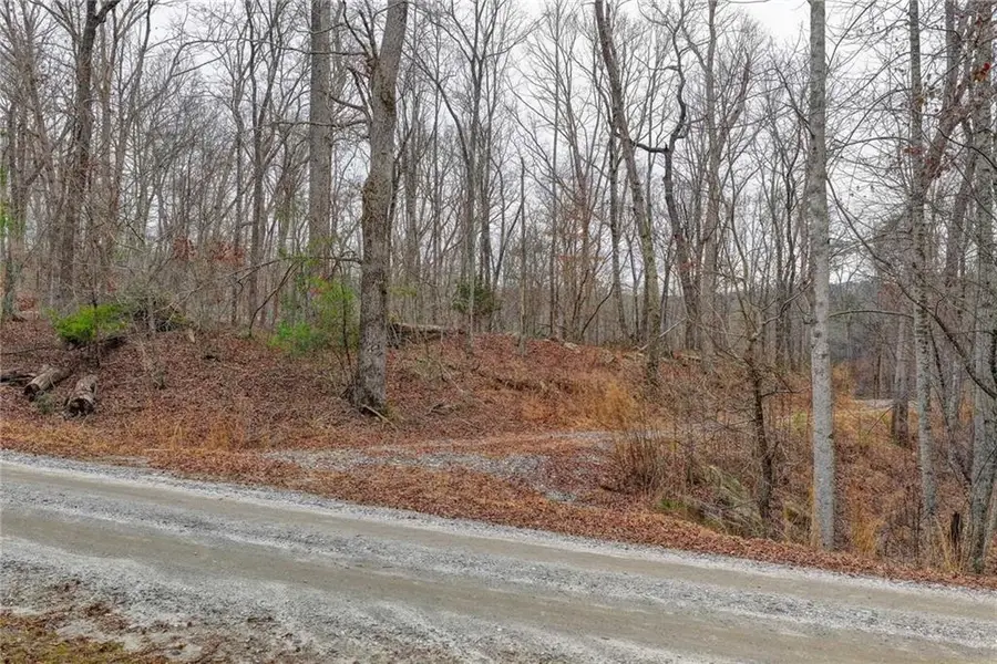 LOT5 Purvis Road, Banks, GA 30511 - Image #3