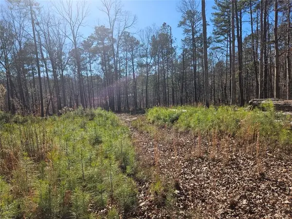 0 Glenn Road Ne, Conyers, GA 30013