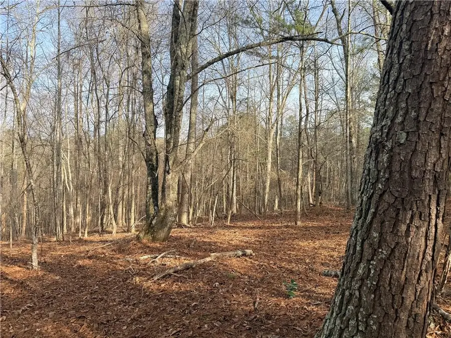 1573 Norris Lake Way, Snellville, GA 30039 - #3