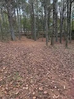 4795 Truman Mountain, Gainesville, GA 30506 - #3