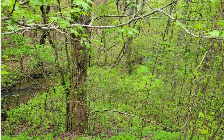 LOT27 Oak Ridge, Ellijay, GA 30536 - #3