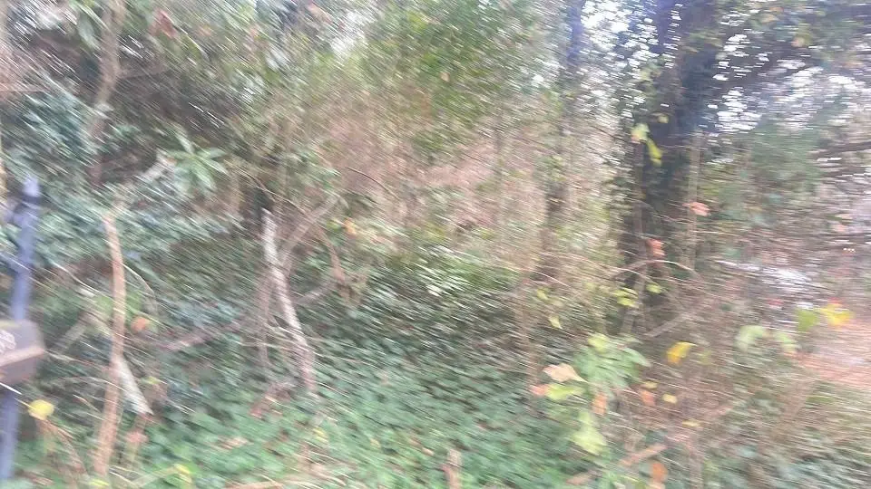 1139 Mcconnell Drive, Decatur, GA 30033 - #1