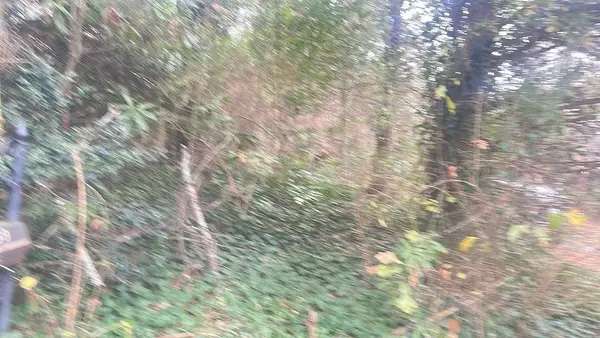 1139 Mcconnell Drive, Decatur, GA 30033