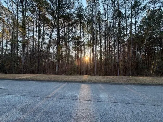 3032 Mink Way, Snellville, GA 30039 - #1