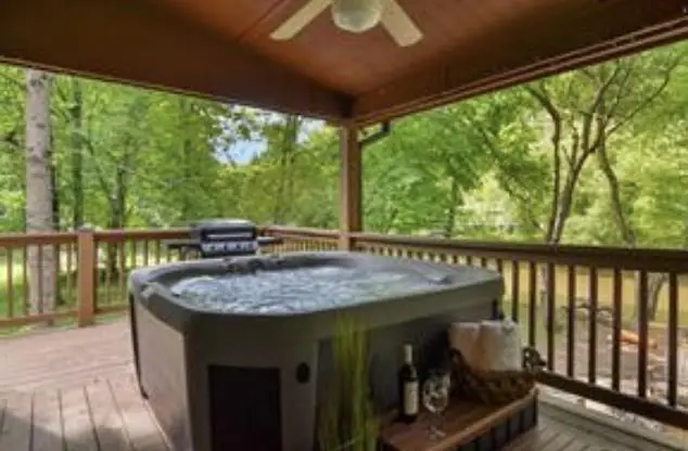 46 Floral Court, Ellijay, GA 30540 - #3