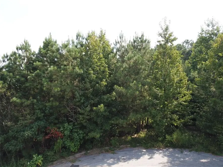 7722 Austin Court, Winston, GA 30187 - #2