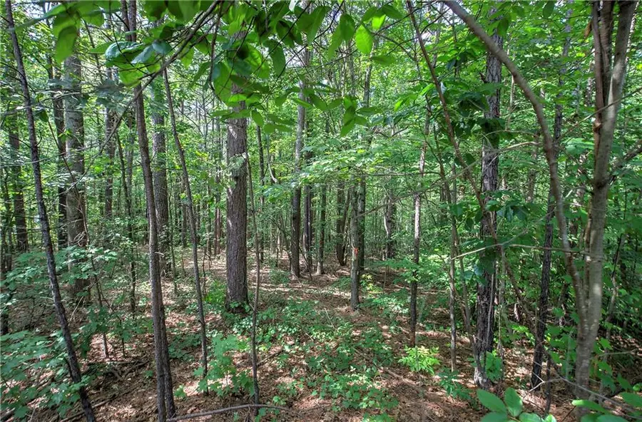 0 Forest Creek, Dallas, GA 30132 - #2