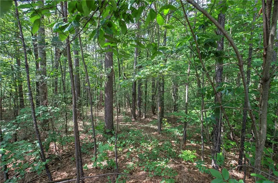 0 Forest Creek, Dallas, GA 30132 - #3