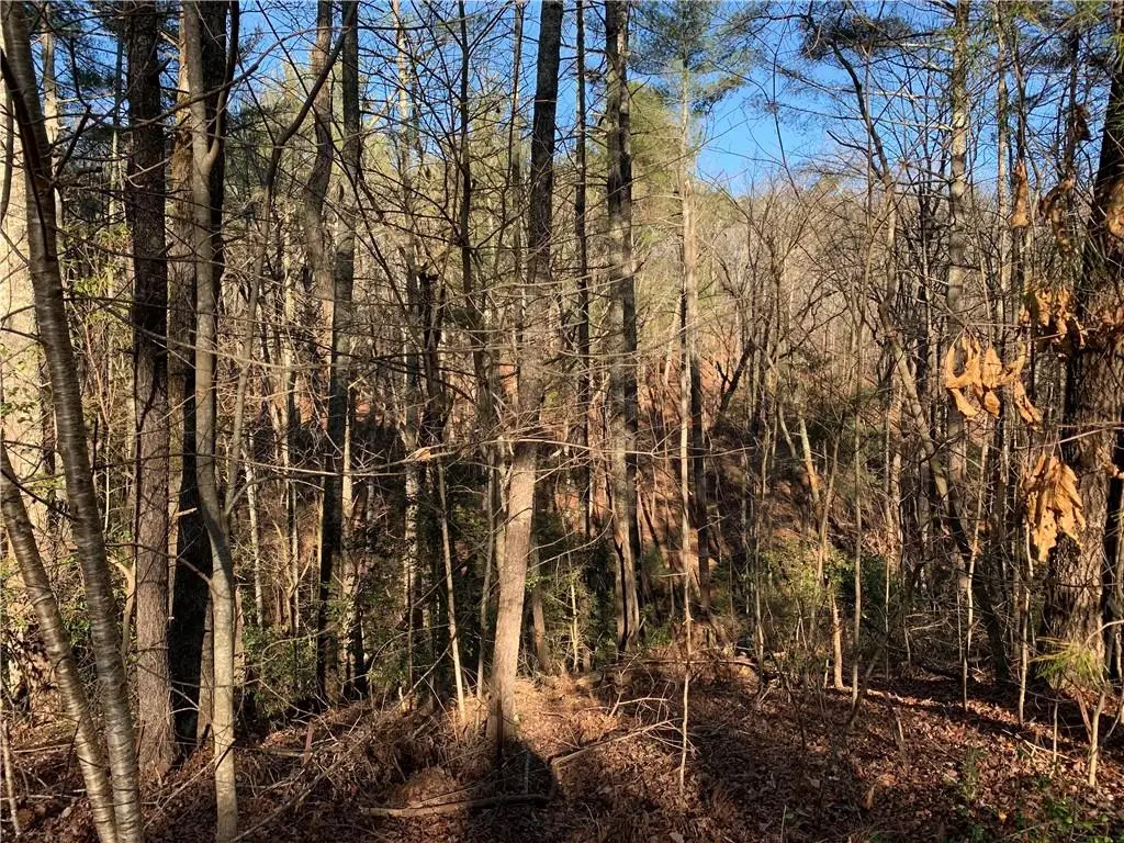 240 N Sanderlin Mtn Drive, Jasper, GA 30143 - #1